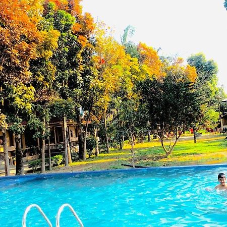 Chitwan Forest Resort , Chitwan National Park Sauraha Dış mekan fotoğraf