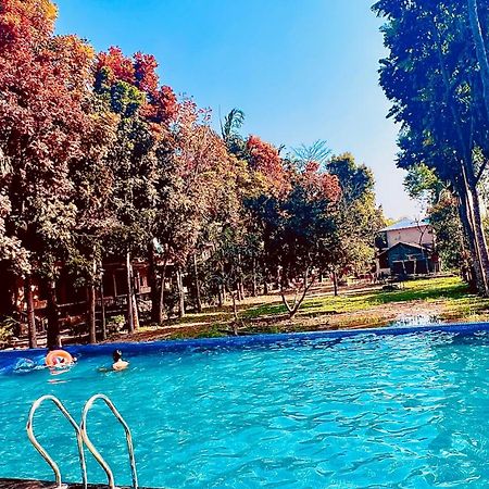 Chitwan Forest Resort , Chitwan National Park Sauraha Dış mekan fotoğraf