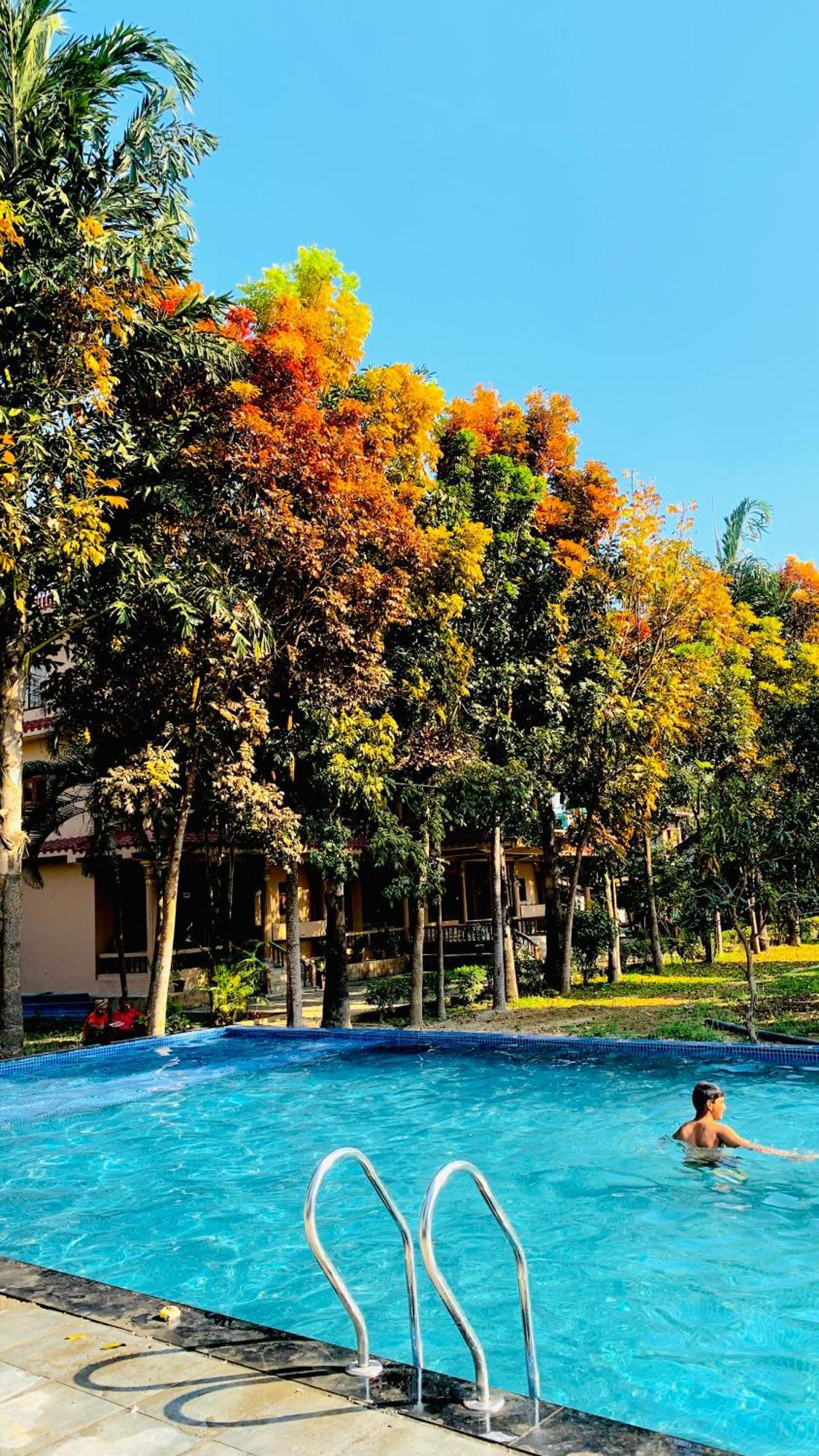 Chitwan Forest Resort , Chitwan National Park Sauraha Dış mekan fotoğraf